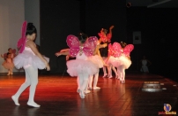 DSC07008