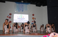 DSC07255