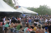 DSC00785
