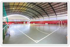 Instituição: Ginásio Esportivo Odilon